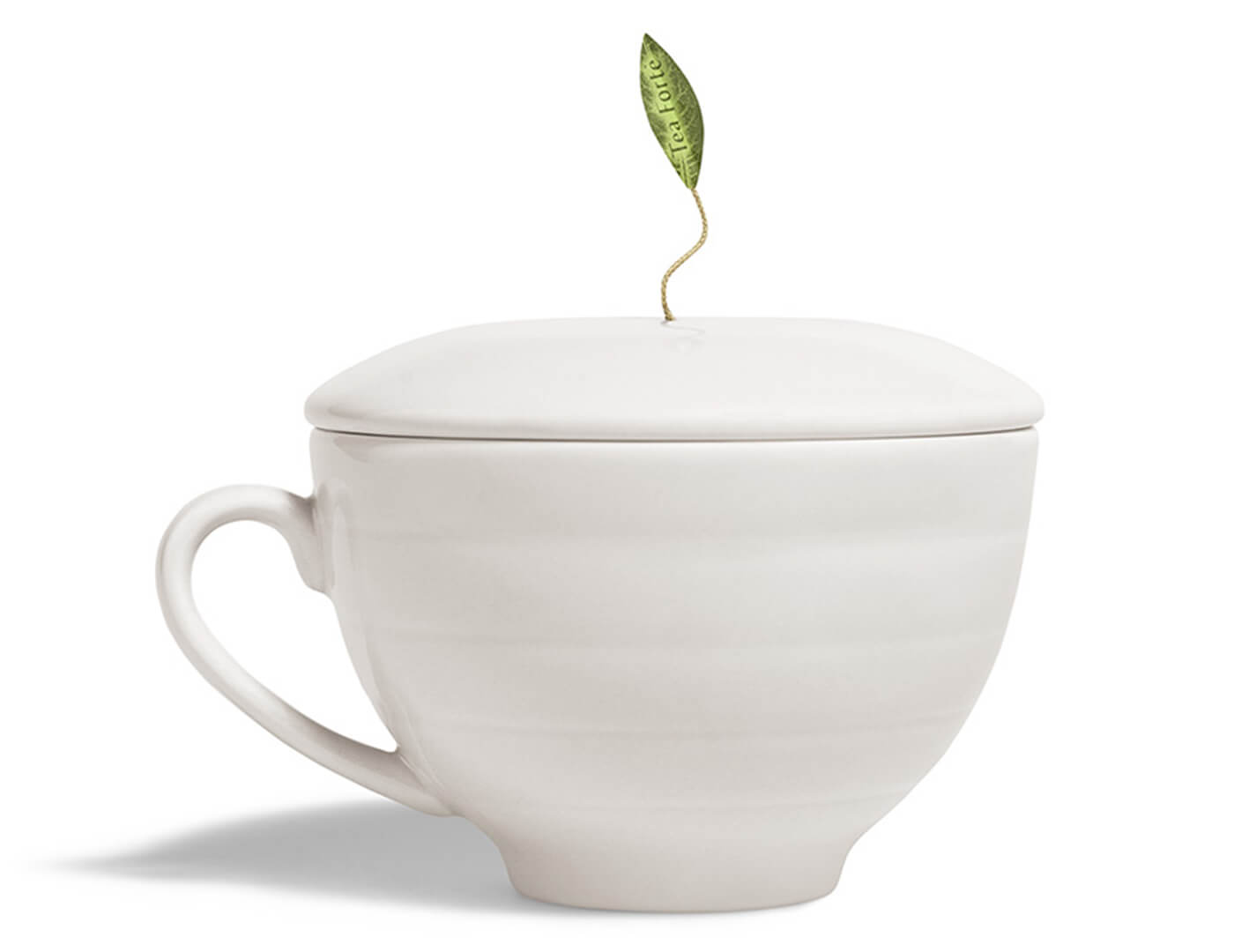 White Cafe Cup
