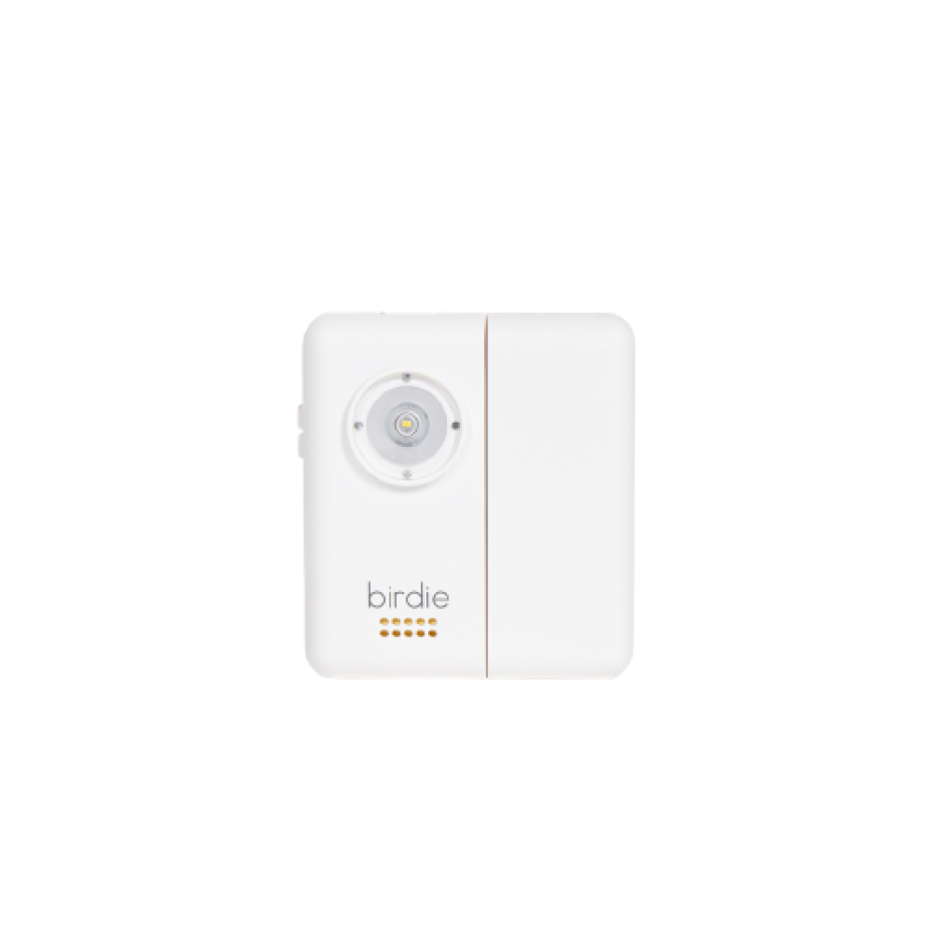 Coconut She's Birdie Door Security Alarm