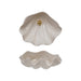 Stoneware Clam Shell Shaped Dish Gold
