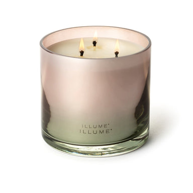 Coconut Milk Mango Statement Glass Candle