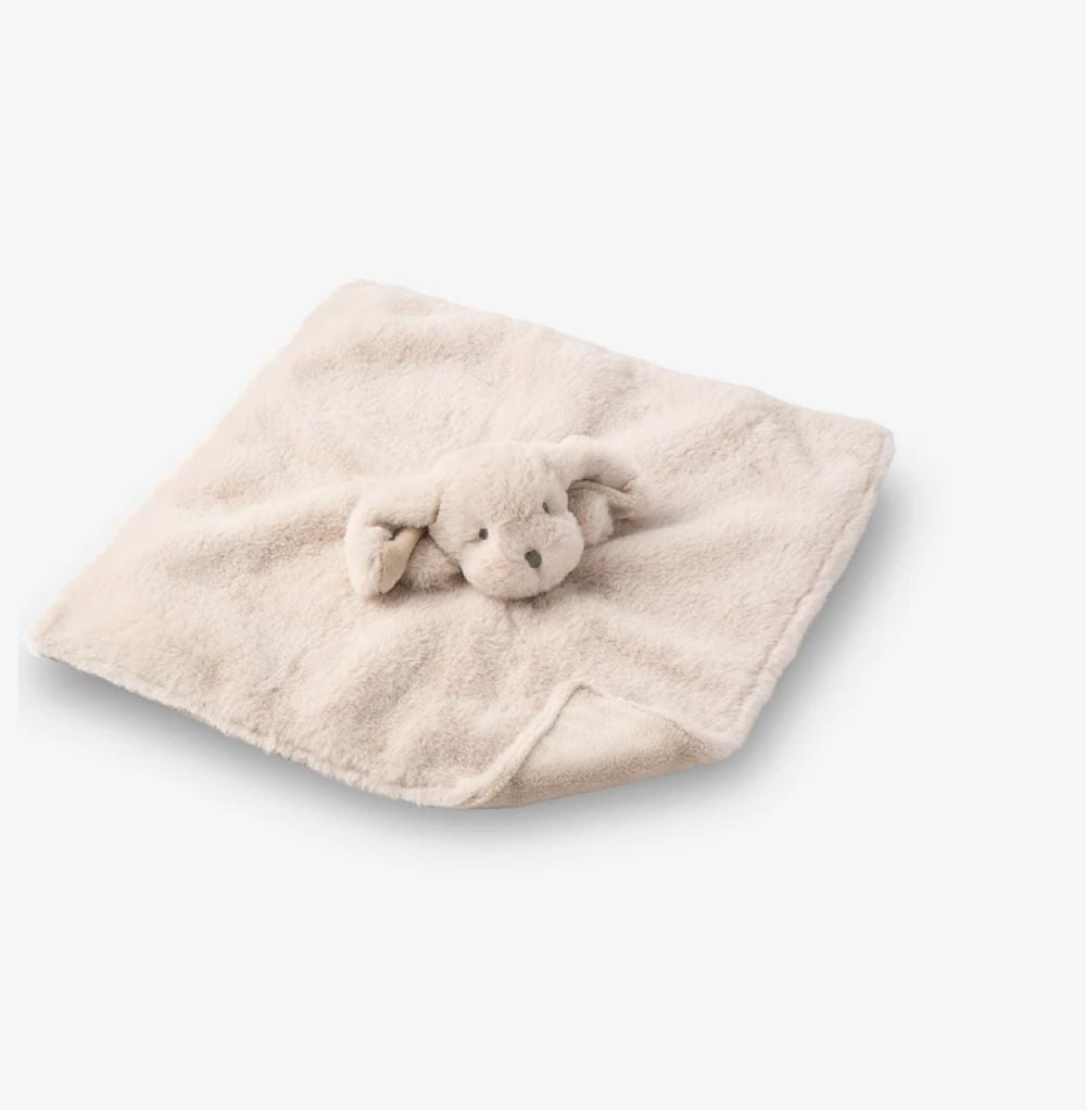 Elegant Baby Puppy 15x15 Blankie