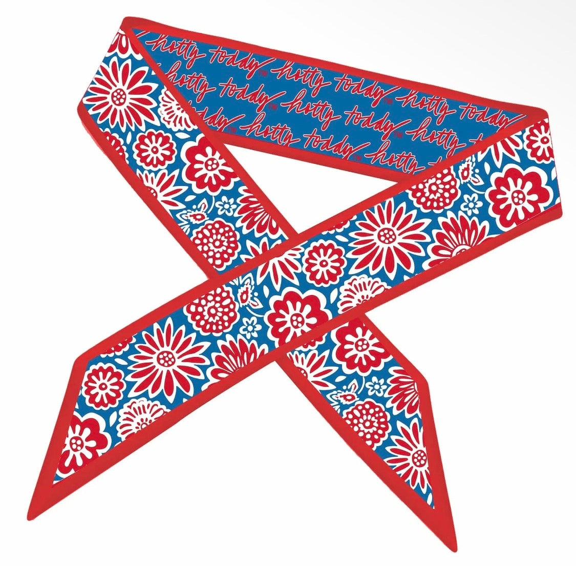 Desden Collegiate Skinny Scarf - Ole Miss