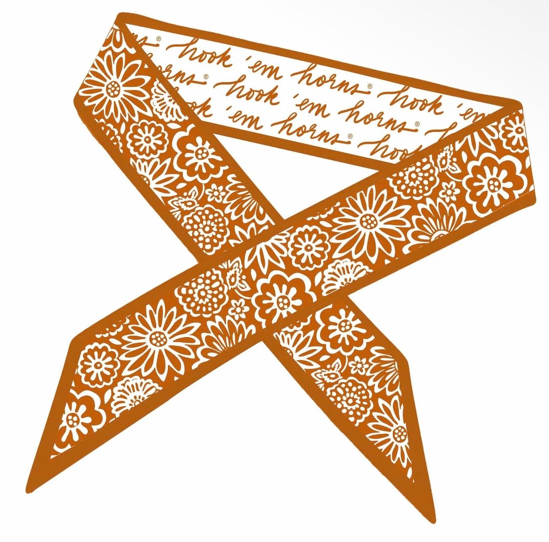 Desden Collegiate Skinny Scarf - TExas
