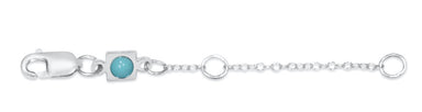 ENewton 2 Inch Sterling Necklace Extender 