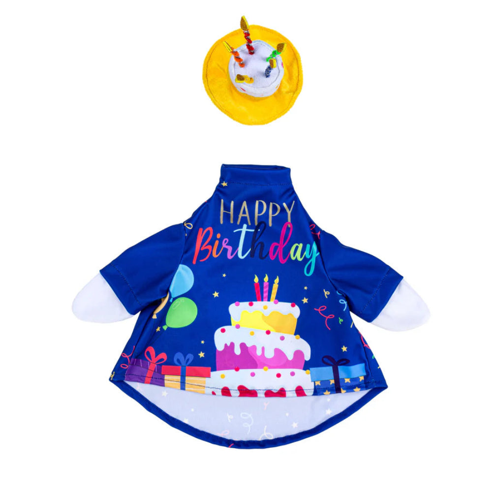 Giddy the Goose Outfit, Birthday Celebration