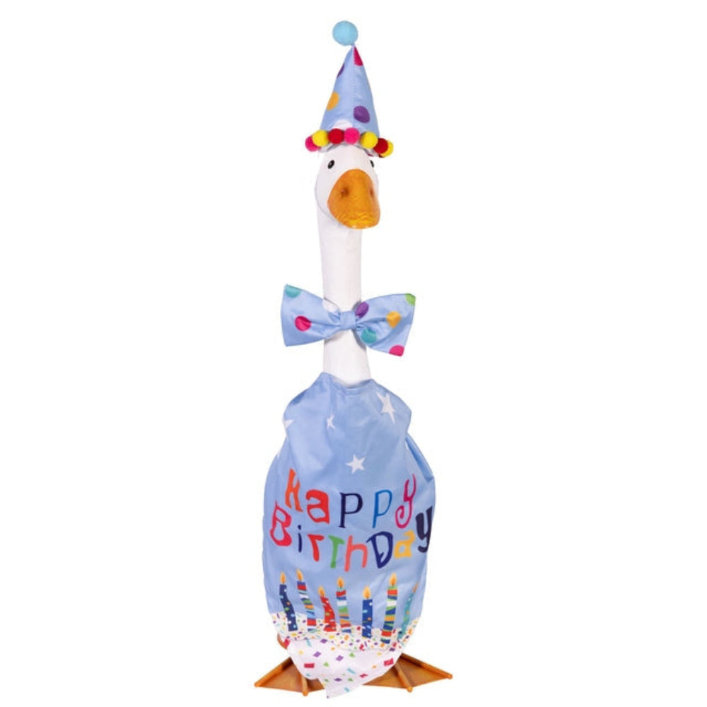 Porch Goose Outfit, Birthday Boy