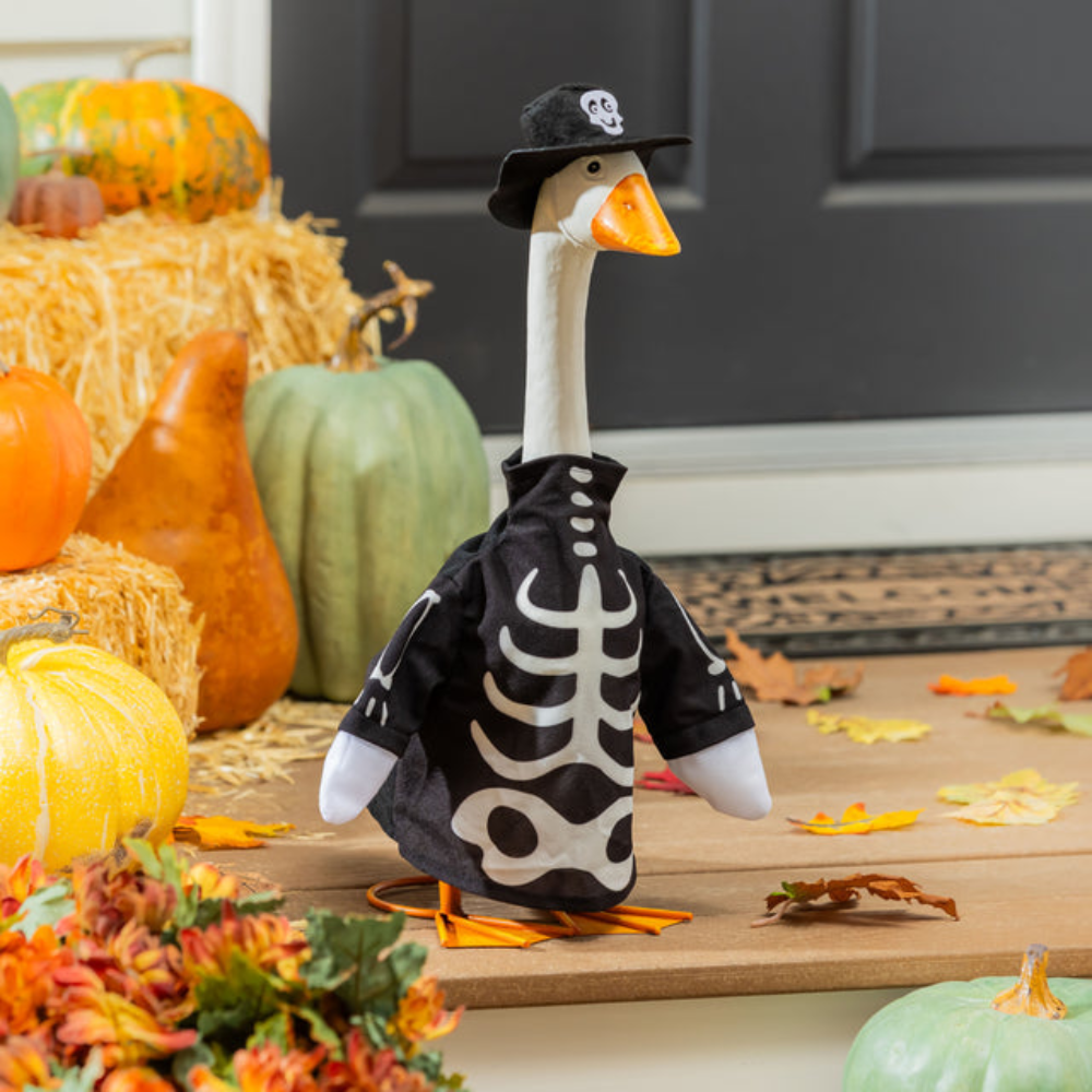 Porch Goose Outfit, Skeleton Glow in Dark