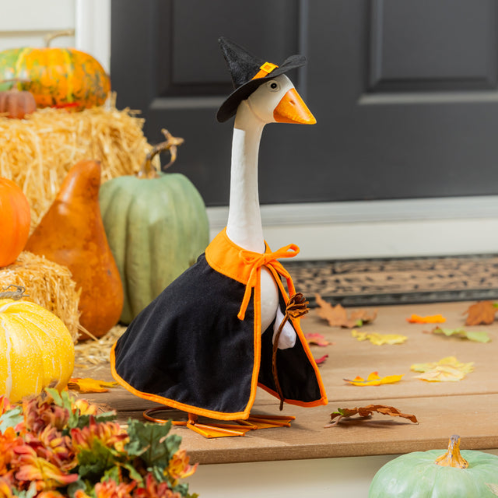 Porch Goose Outfit, Witch