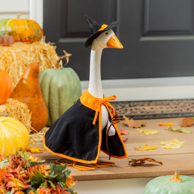 Porch Goose Outfit, Witch