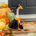 Porch Goose Outfit, Witch