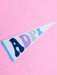 Rainbow Pennant Flag