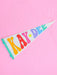 Rainbow Pennant Flag