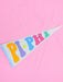 Rainbow Pennant Flag