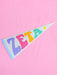 Rainbow Pennant Flag