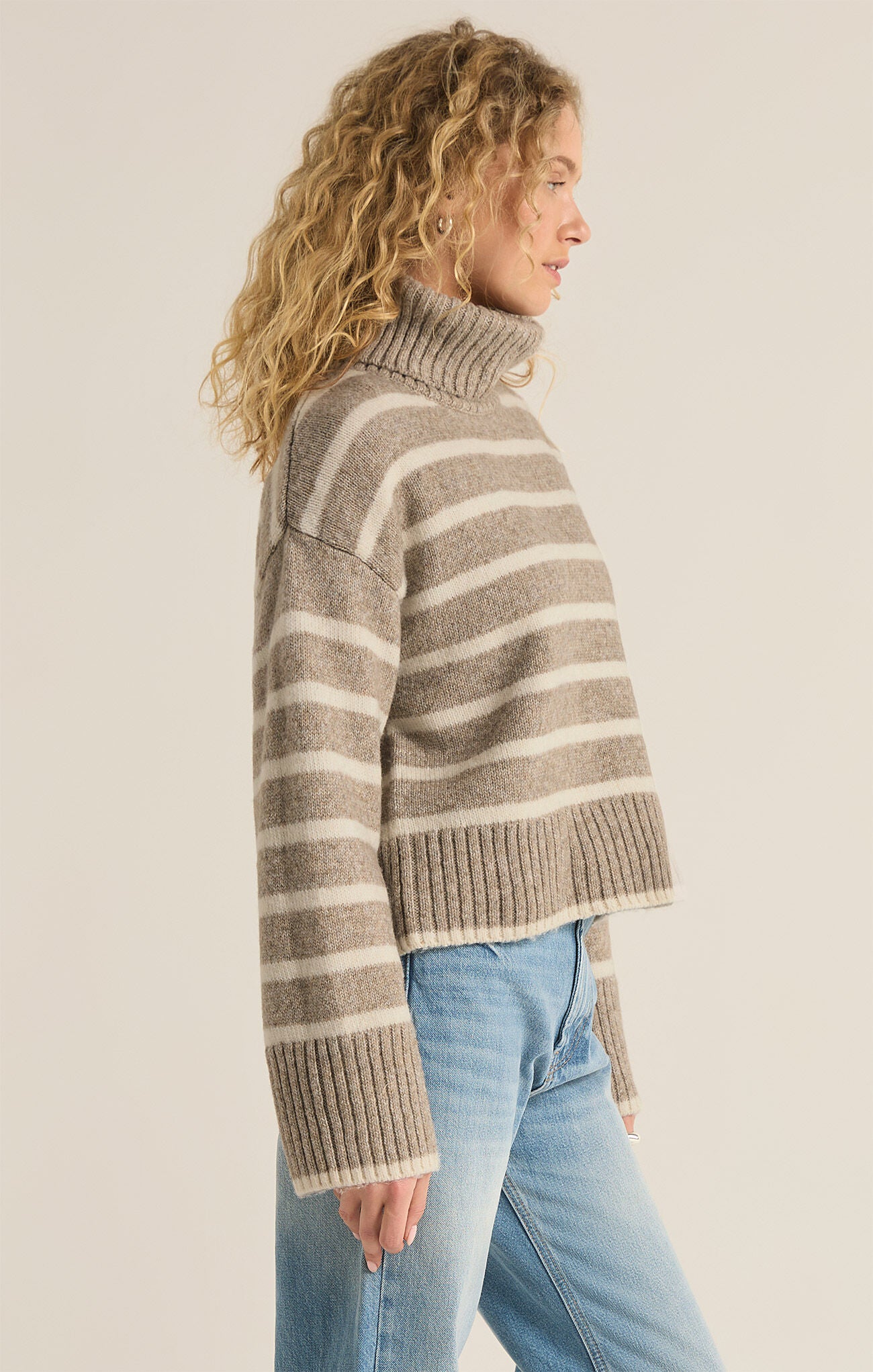 Z Supply Josephine Stripe Sweater