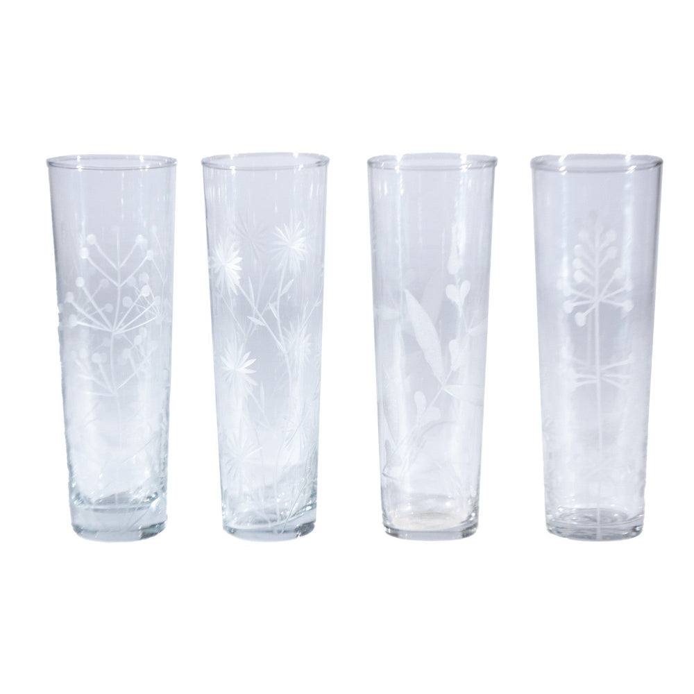 Hand-Blown Drinking Glass with Etched Botanicals, 4 Styles