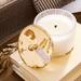 Frasier Fir Med Frosted Wood Grain Candle